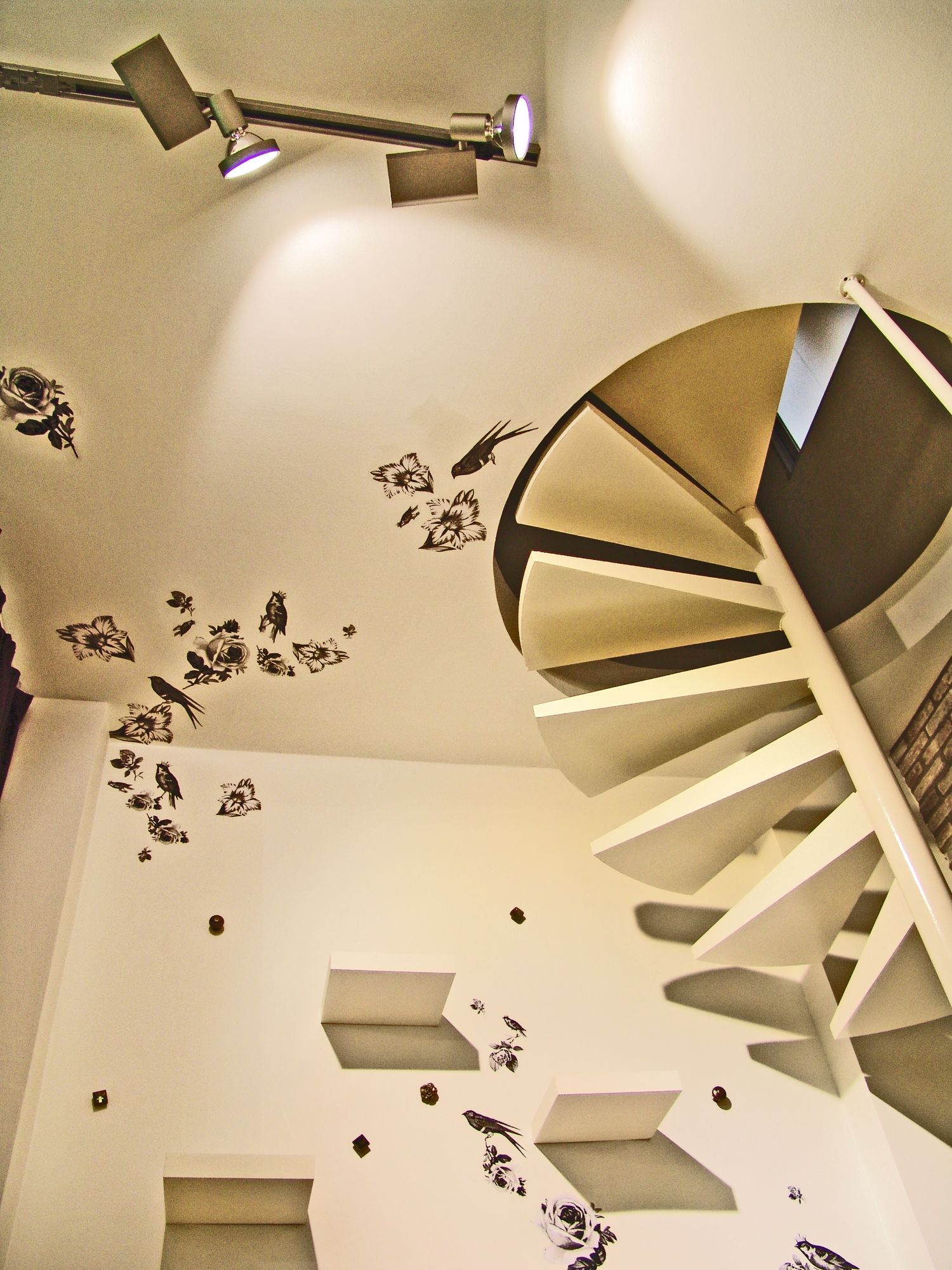 Renew boutique store